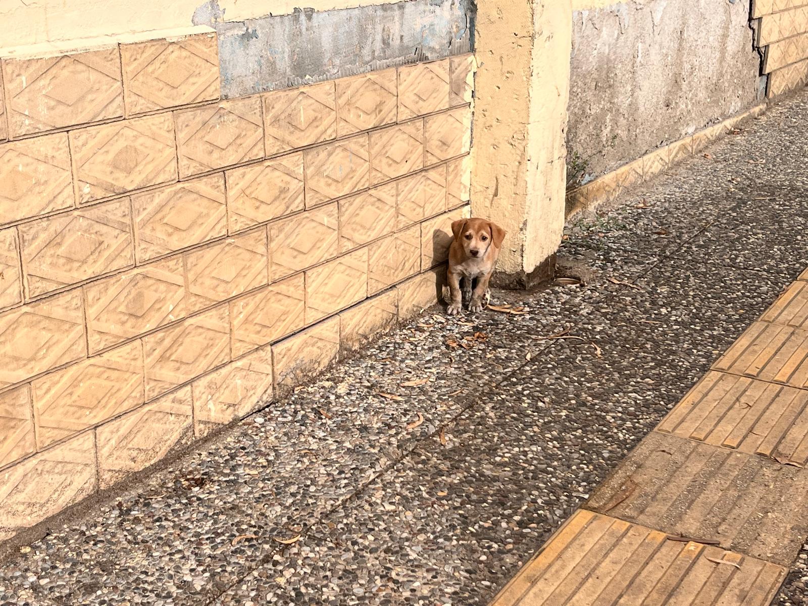 Whatsapp Image 2025 10 04 At 09.51.22