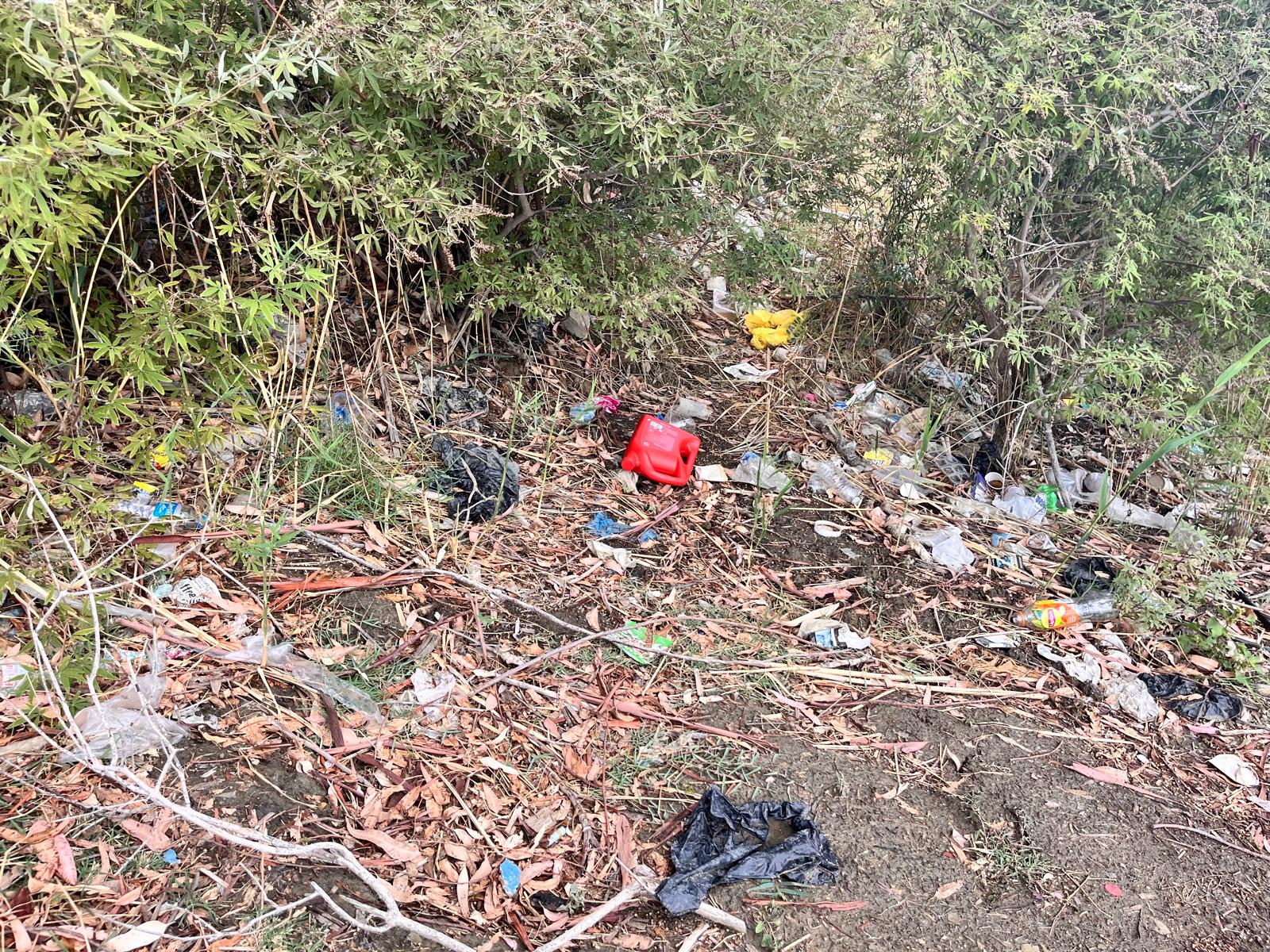 Whatsapp Image 2025 10 04 At 16.47.56