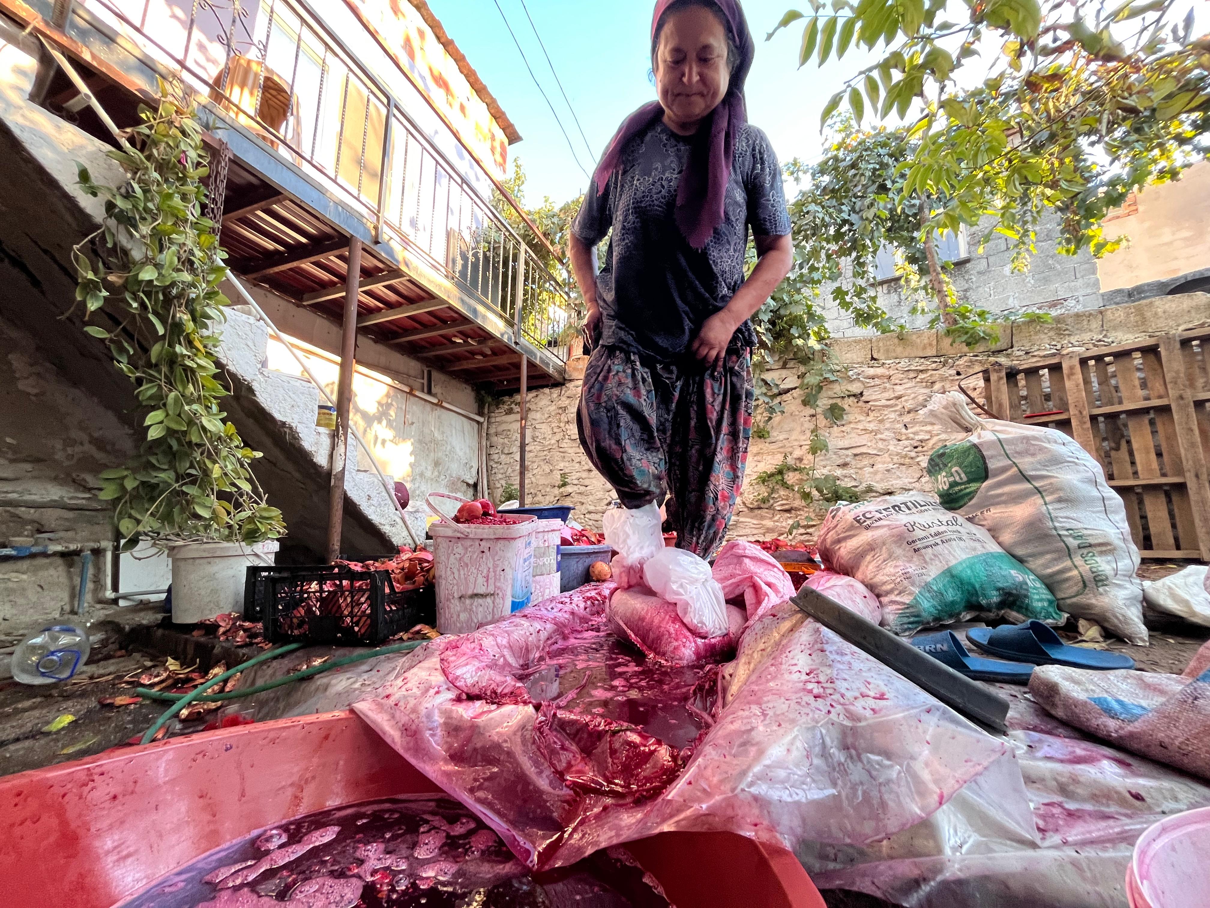 Whatsapp Image 2025 10 12 At 11.03.20