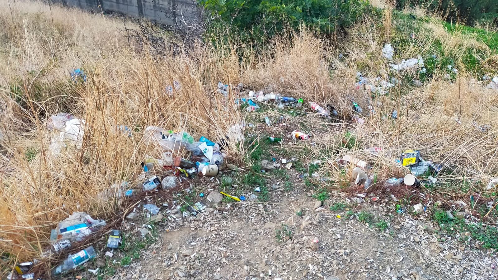 Whatsapp Image 2025 10 16 At 11.15.39