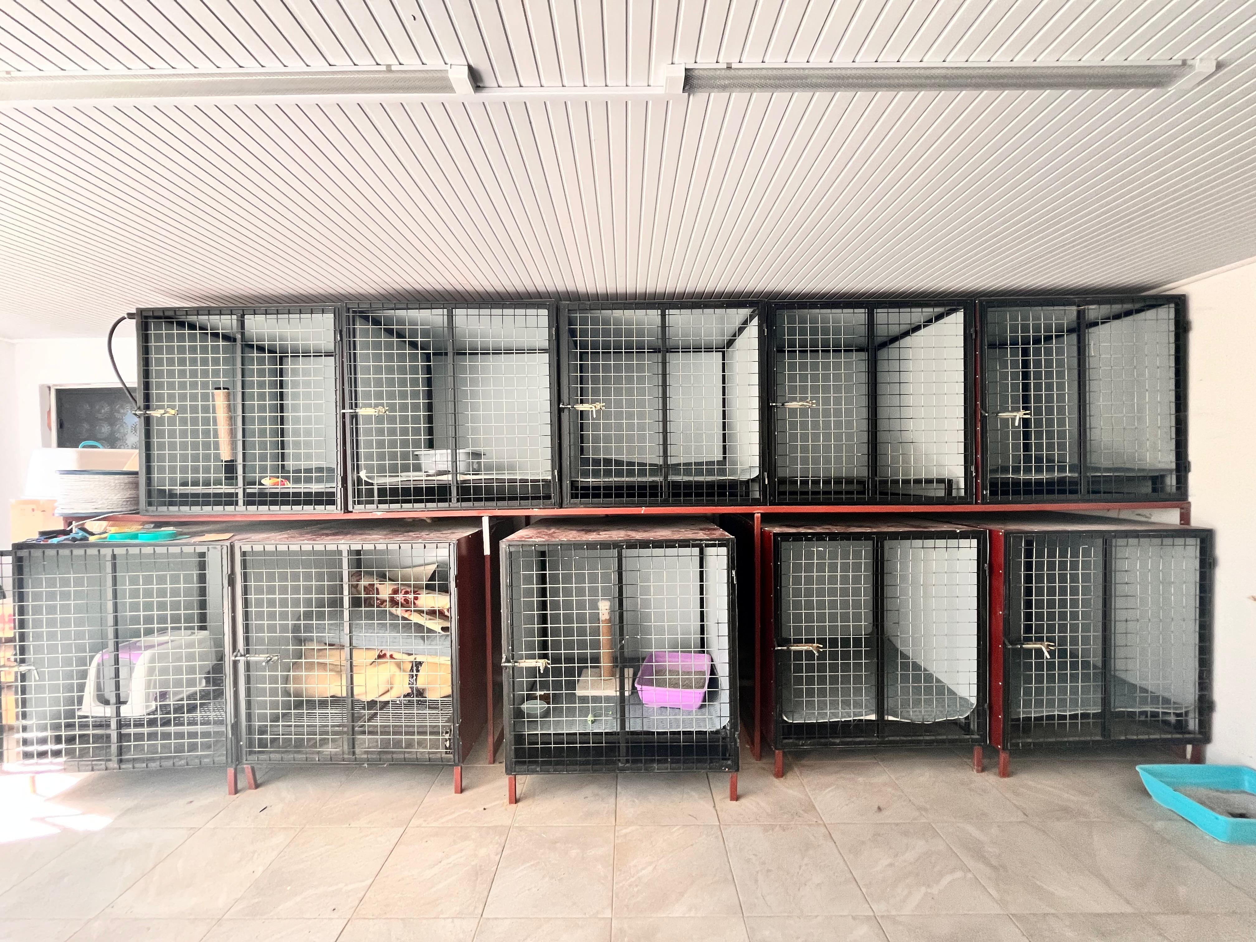 Whatsapp Image 2025 10 18 At 11.23.46