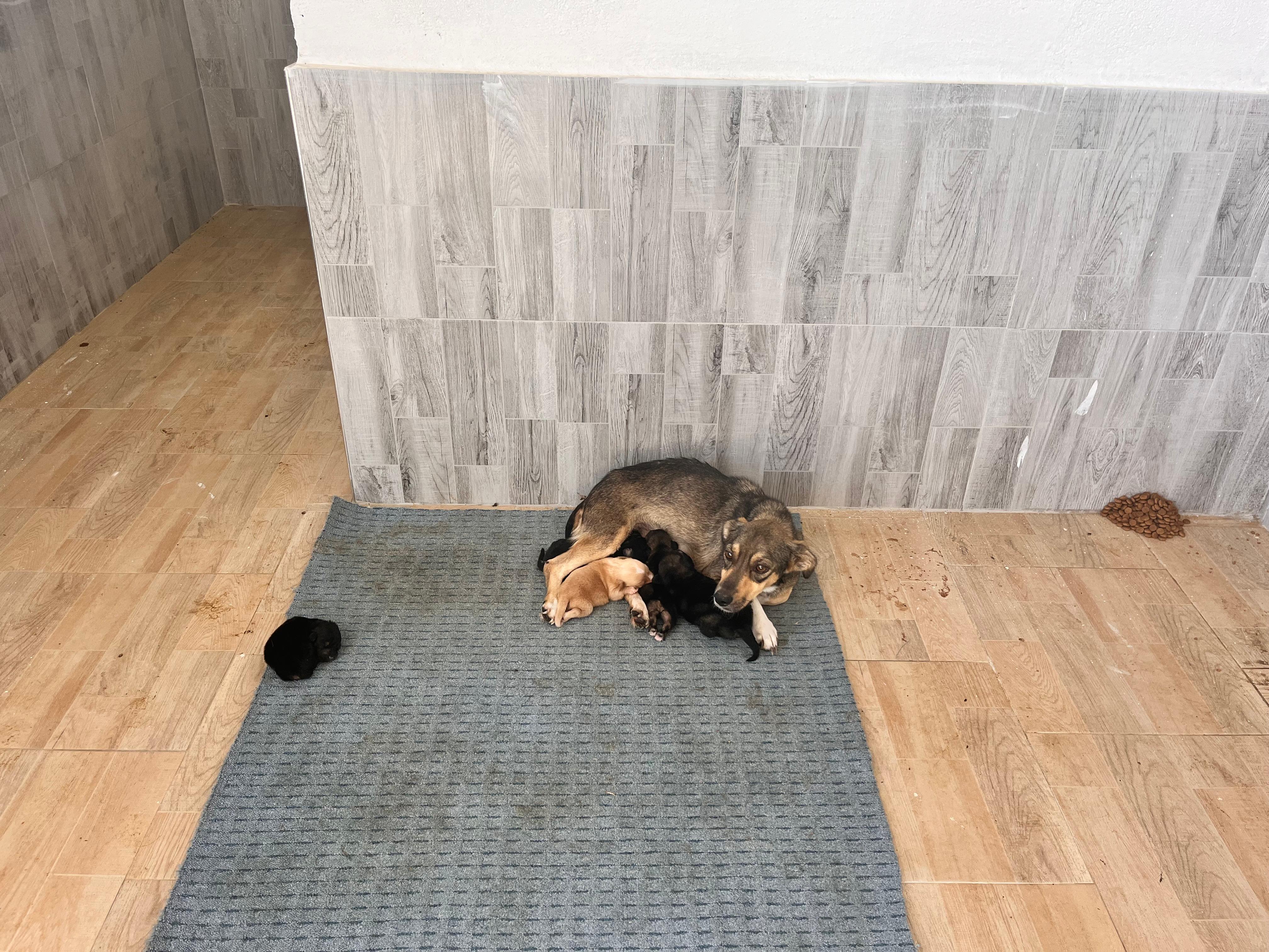 Whatsapp Image 2025 10 18 At 11.23.47 (2)