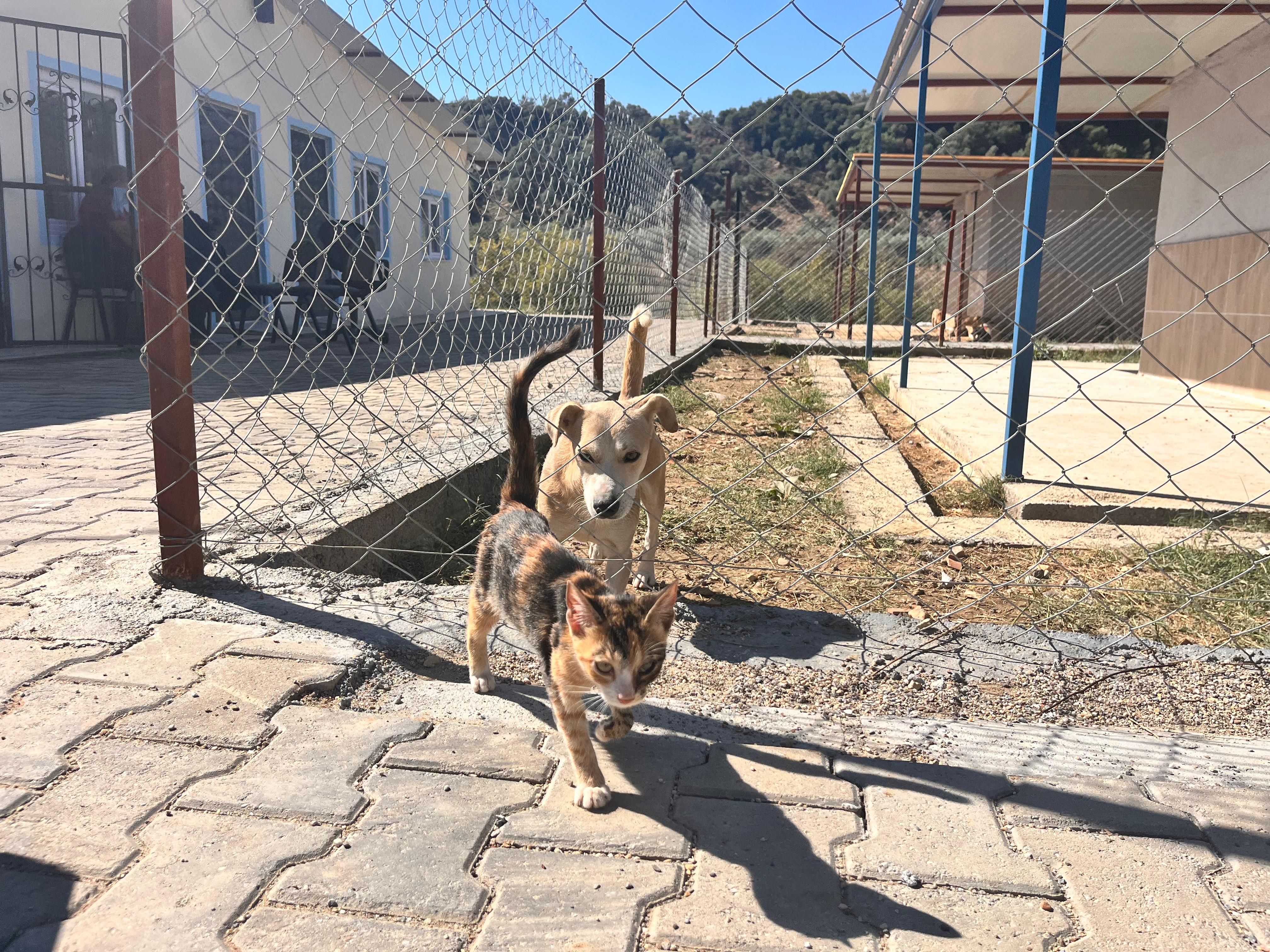 Whatsapp Image 2025 10 18 At 11.23.47