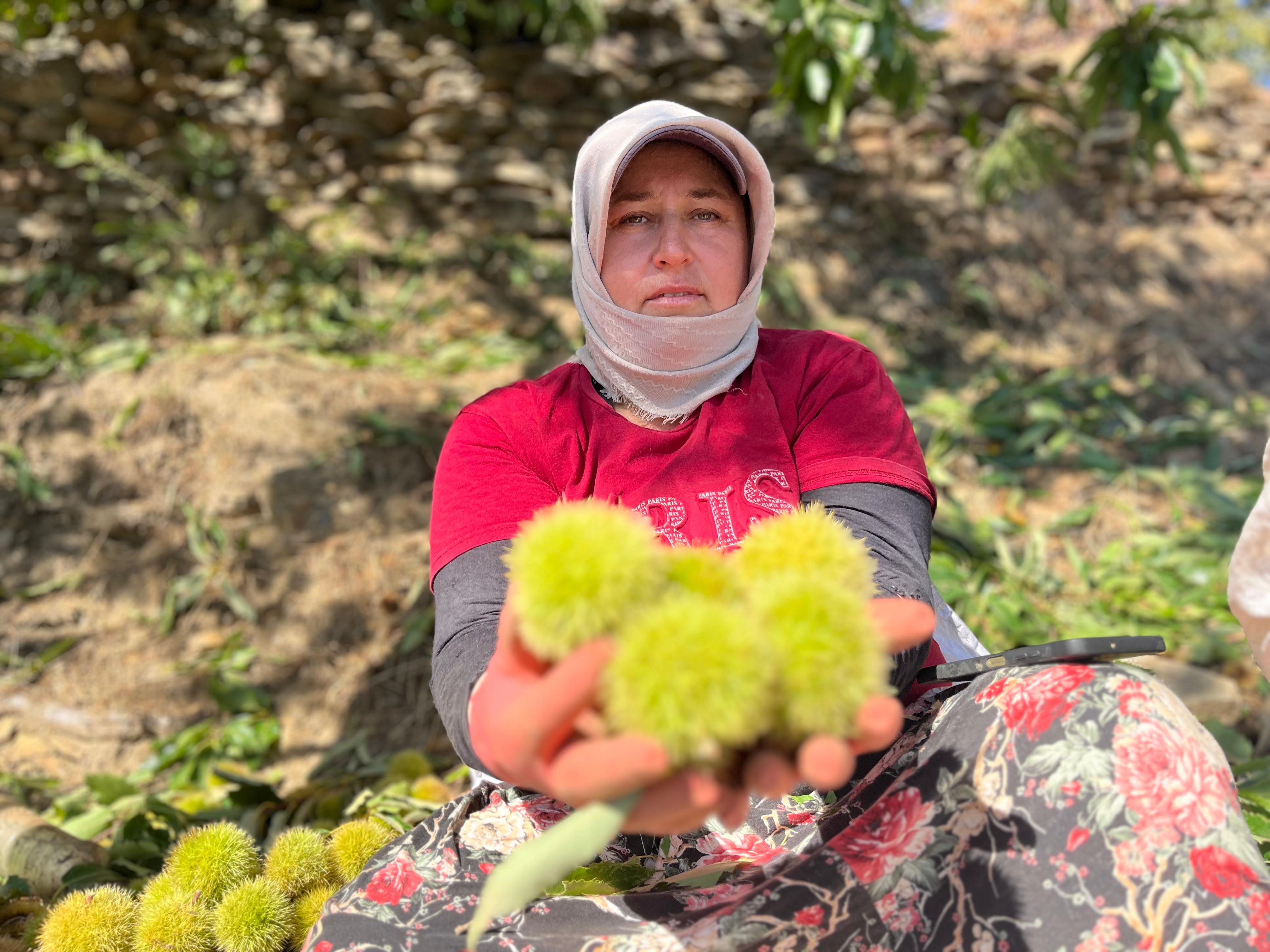 Whatsapp Image 2025 10 18 At 18.35.26 (1)-1