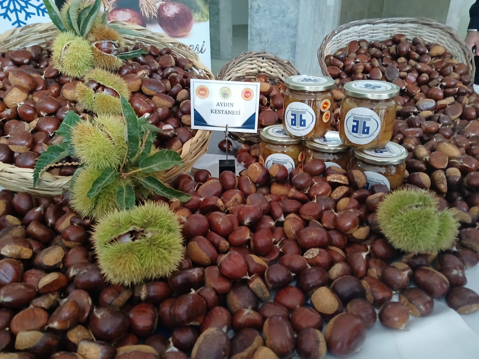 Whatsapp Image 2025 10 21 At 12.41.07