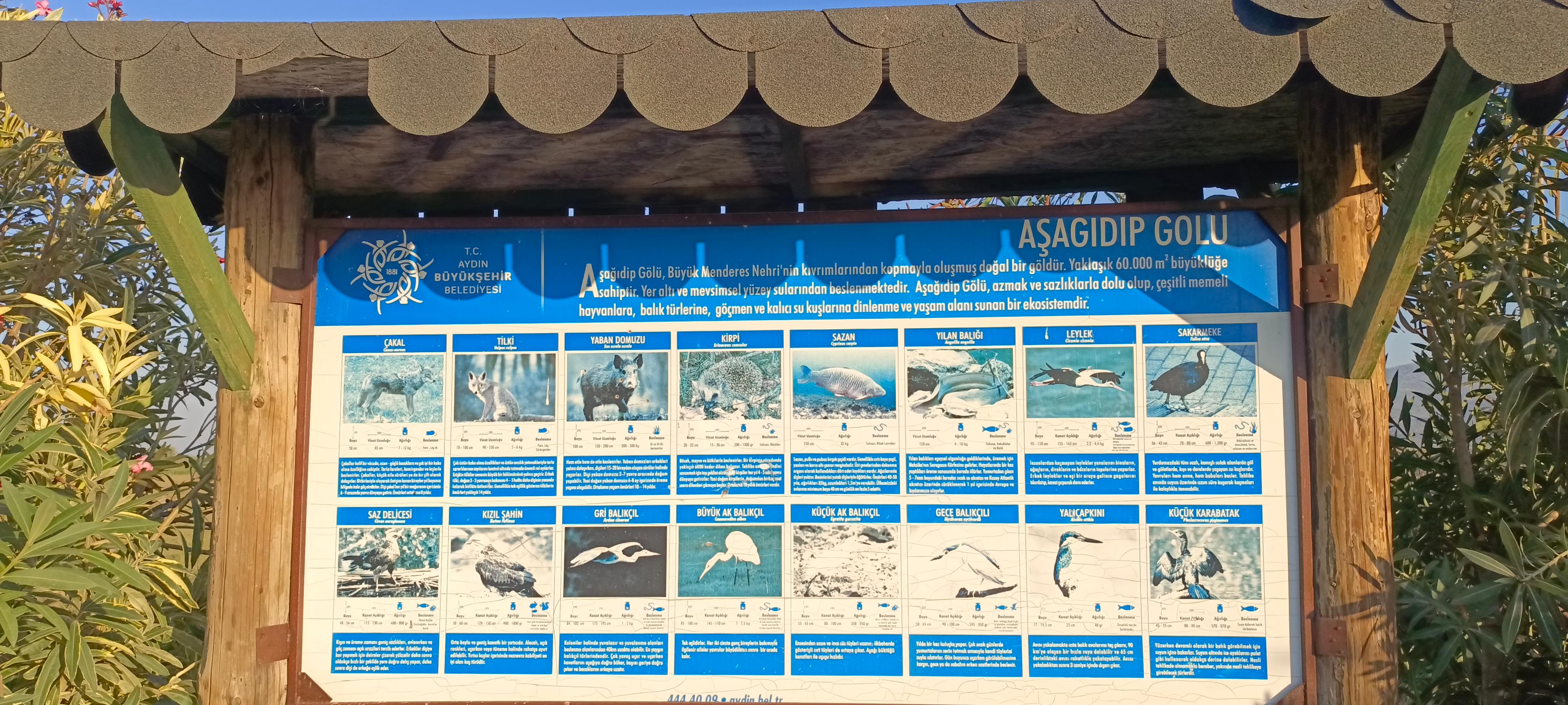 Whatsapp Image 2025 10 23 At 11.56.47