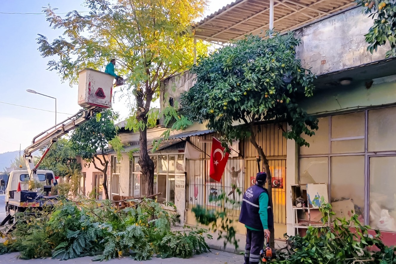 3E2C15E0 E5E0 4790 B0F1 84A395Cf38E9