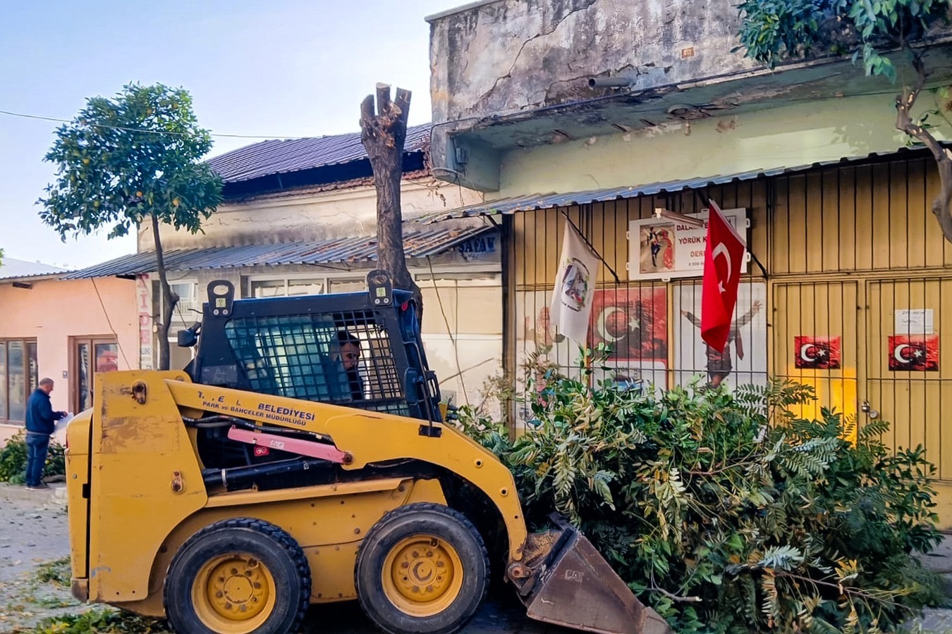 5Afacd18 8225 441C Ae42 6Bdfa767Dfc6