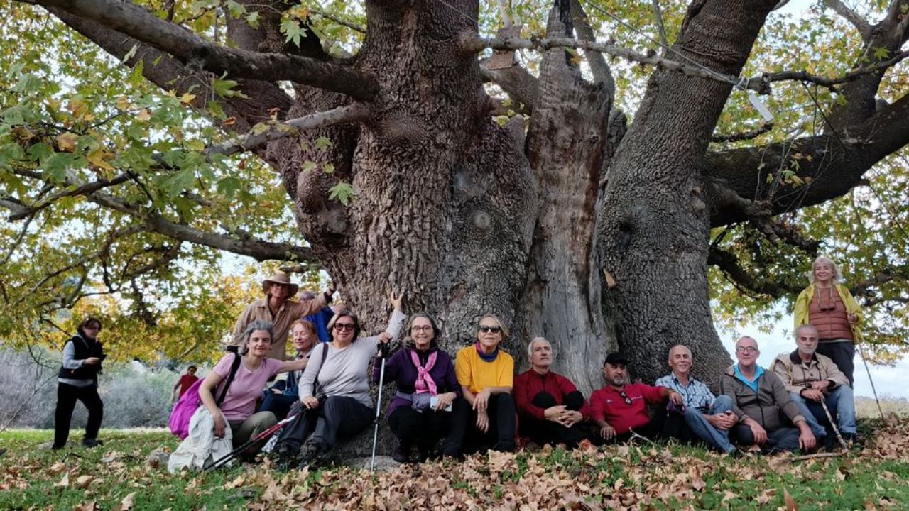 Antik Kent Hyllarima’da Tarih Yolculuğu 3