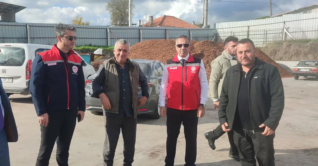 Aydın’ın Çam Fıstığı Üretiminde Sahip Olduğu Güç Sahada Incelendi