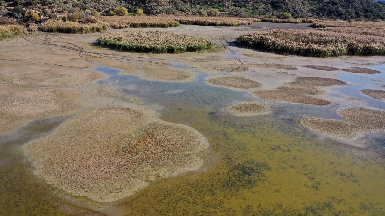 Azap Gölü’nde Kuraklık Alarmı Sular Büyük Oranda Çekildi 1