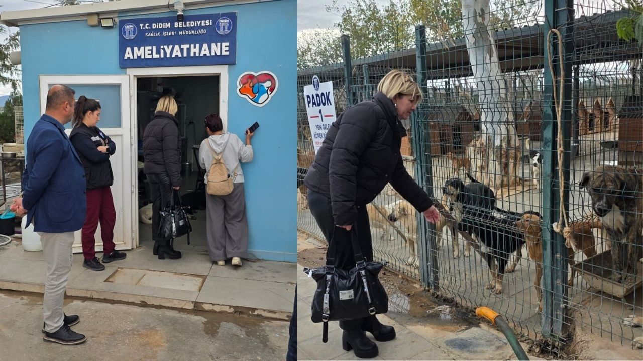 Didim’de Sokak Hayvanları Için Ortak Adım1-1