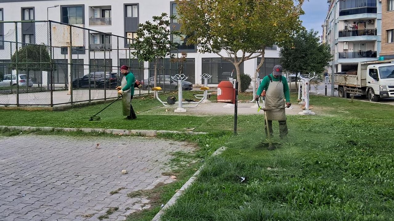 Efeler’de Ağaçlar Için Yeni Bakım Süreci Başladı