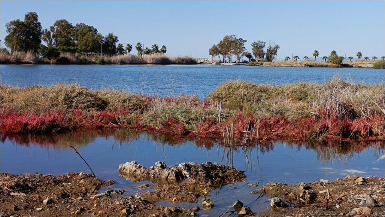 Ekodosd’da Kocagöl Odaklı Farkındalık Söyleşisi 1