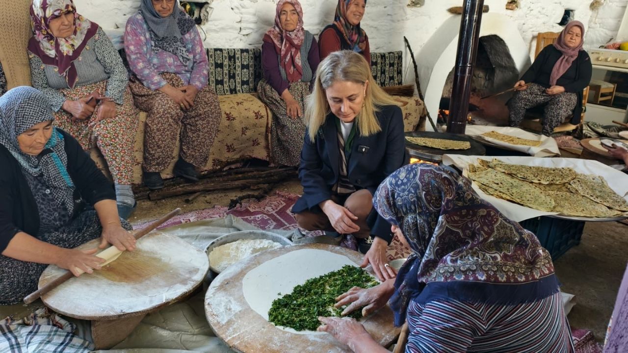 Nazillli'de Zeytin Bereketikaymakam Kan Hasada Katıldı12,2