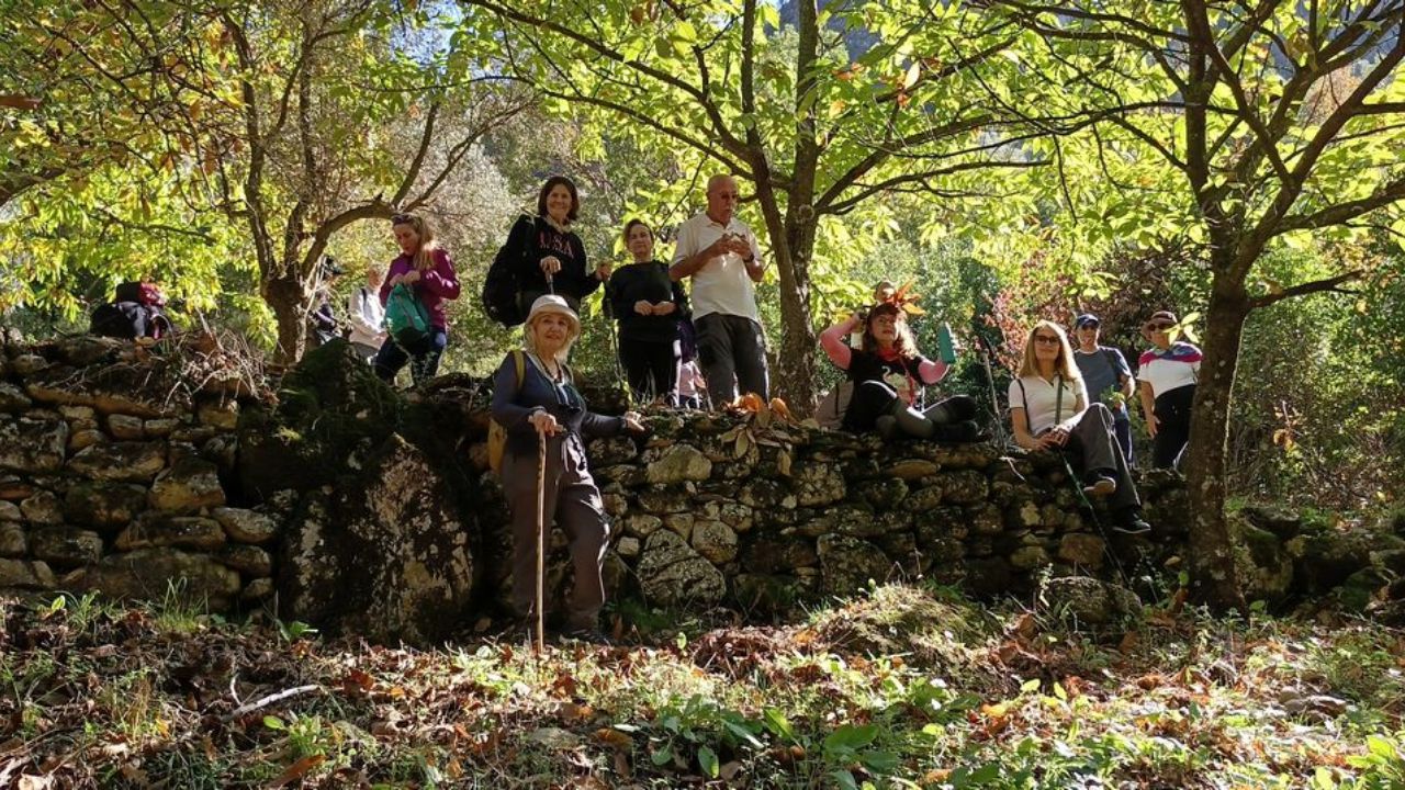 Sonbaharda Renk Cümbüşü Koçak Kanyonu Büyülüyor 3