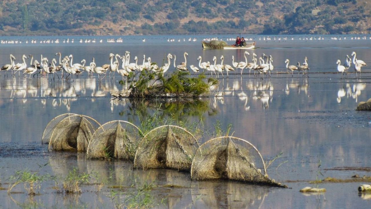 Ulusal Flamingo Tür Eylem Planı Çalıştayı Yapıldı 2