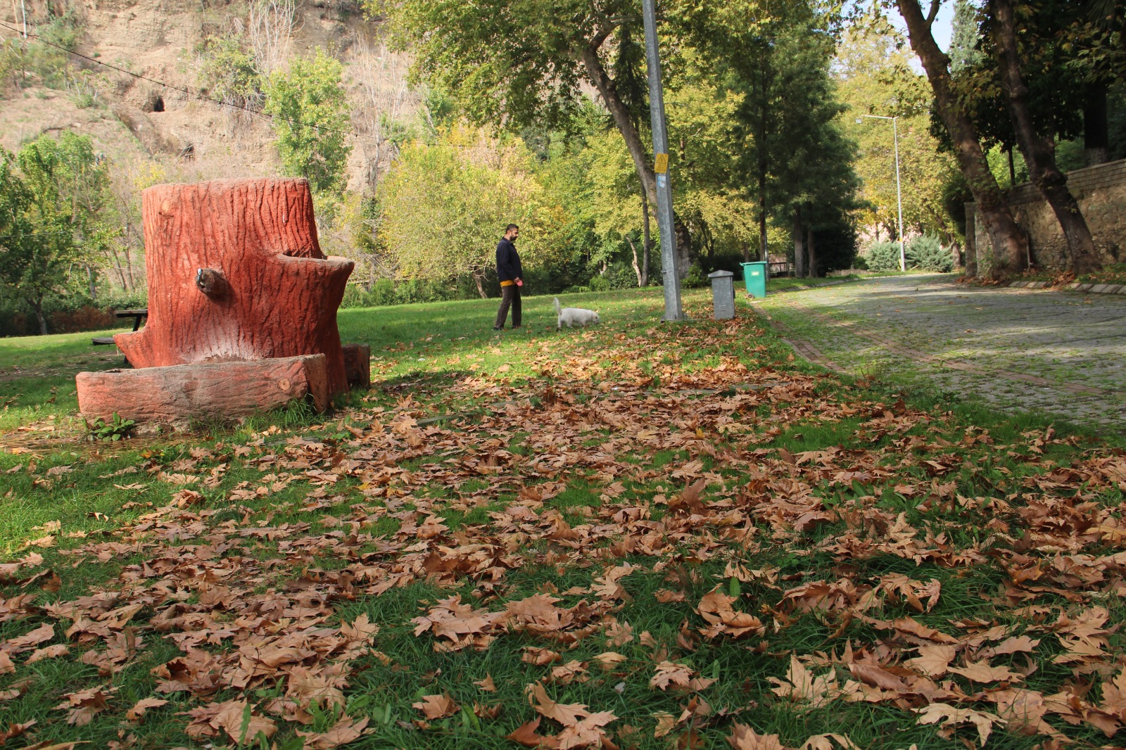 Whatsapp Image 2025 11 06 At 15.41.53