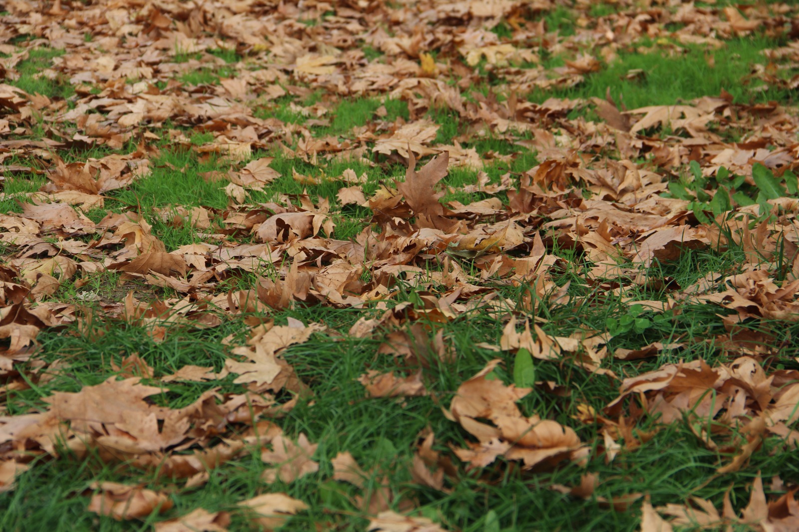 Whatsapp Image 2025 11 06 At 15.41.55