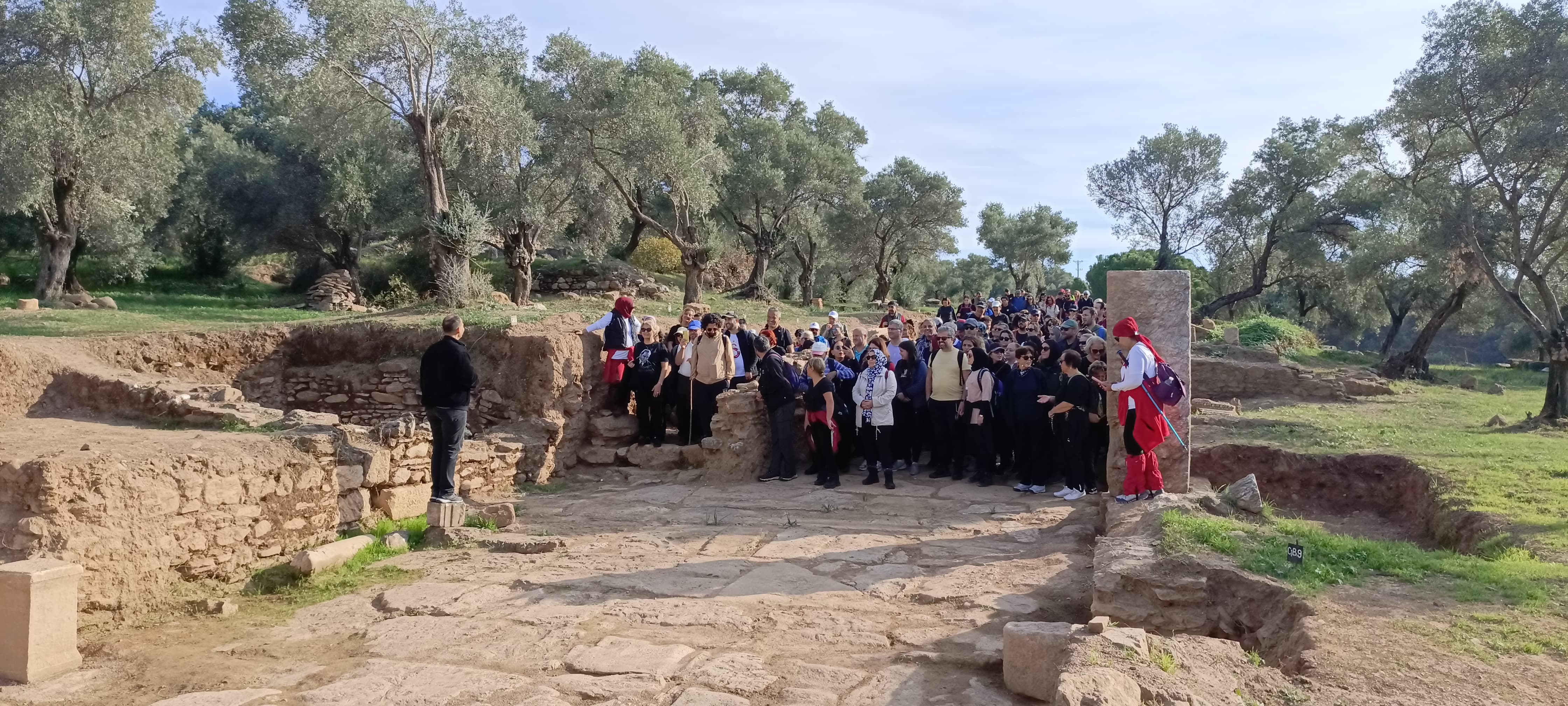 Whatsapp Image 2025 11 09 At 15.31.01