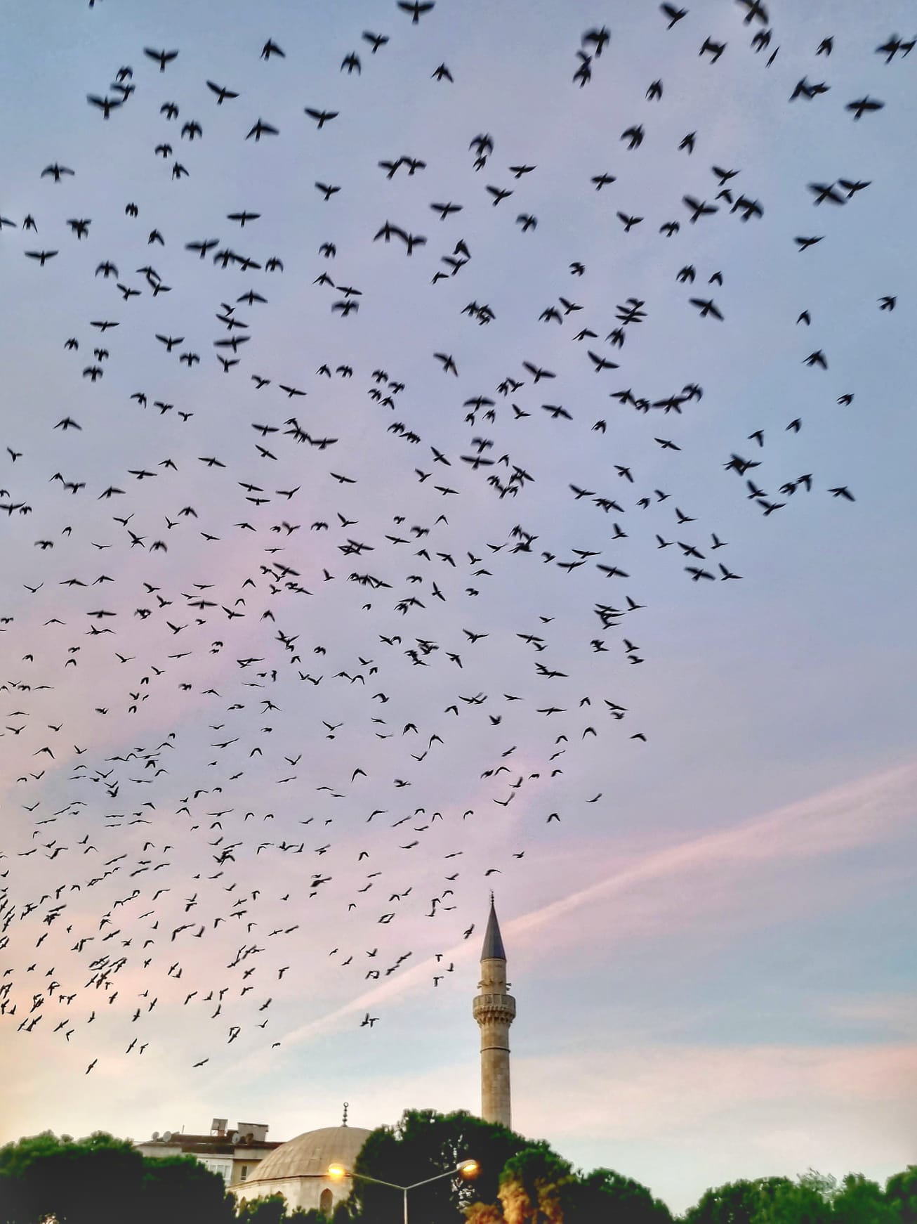 Whatsapp Image 2025 11 11 At 09.44.10