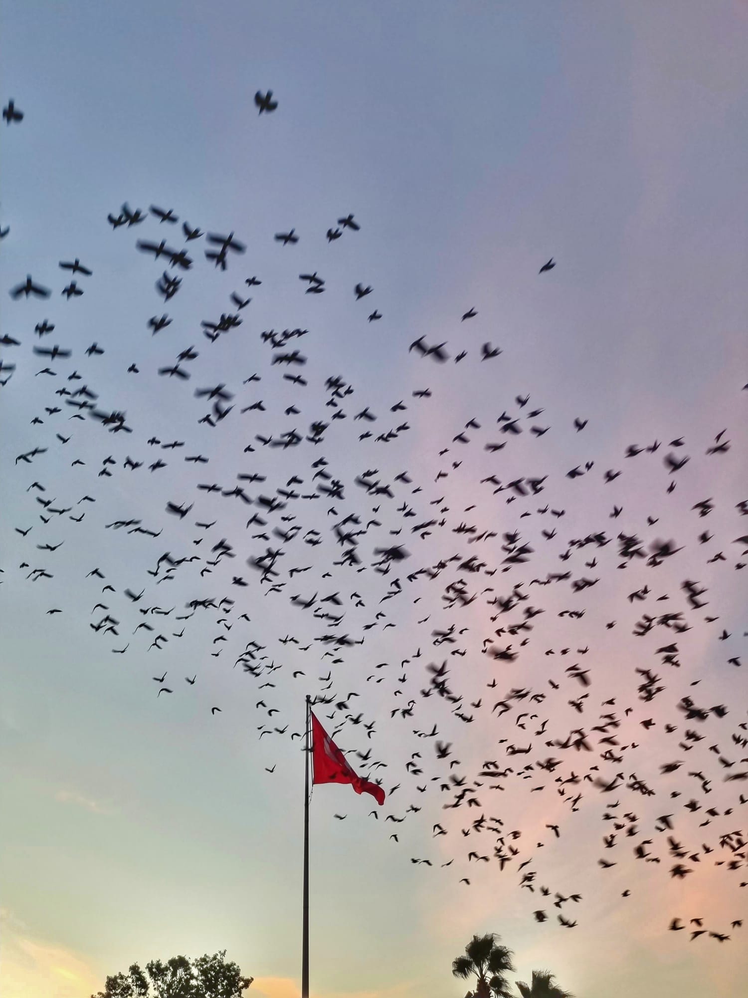 Whatsapp Image 2025 11 11 At 09.44.12