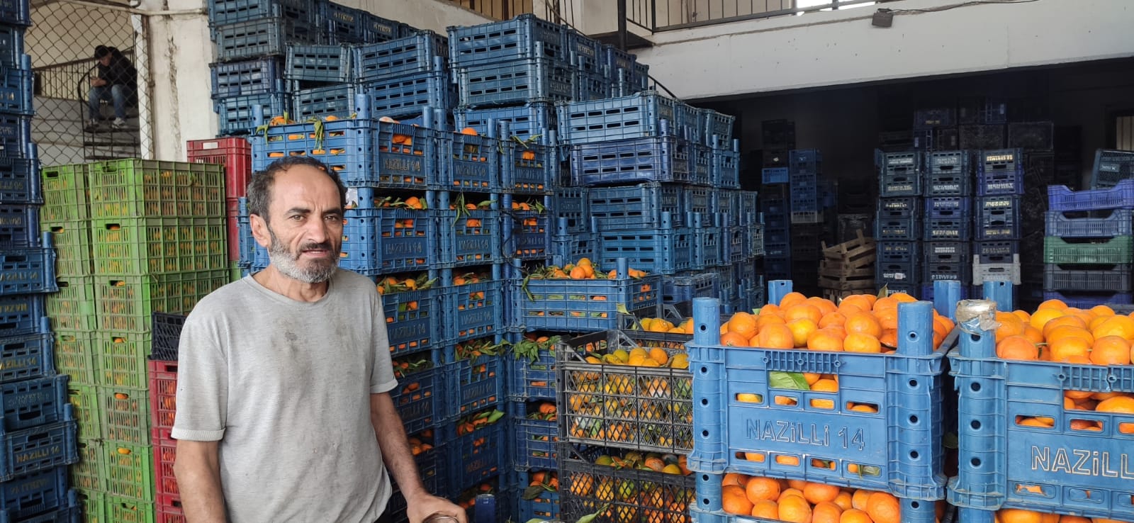 Whatsapp Image 2025 11 11 At 14.32.03