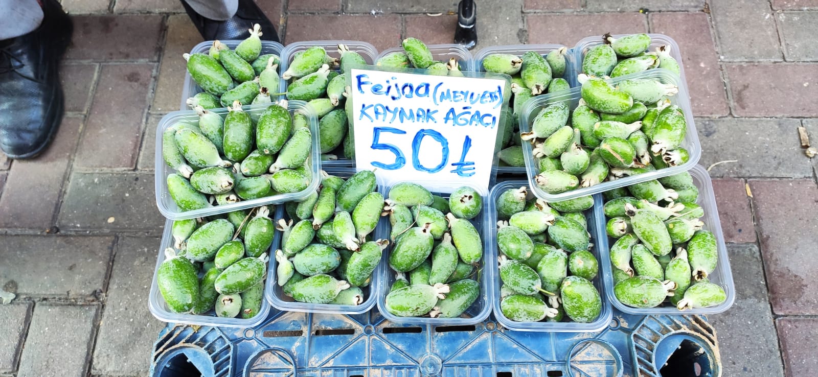 Whatsapp Image 2025 11 13 At 12.18.27