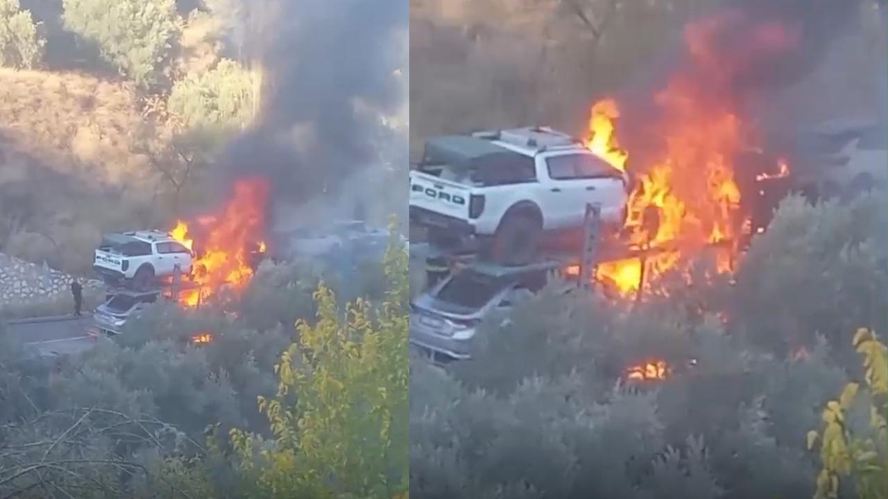 Whatsapp Image 2025 11 13 At 17.11.24