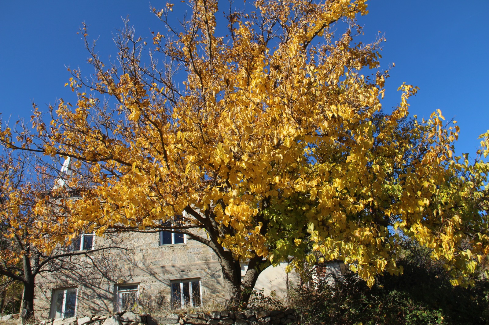 Whatsapp Image 2025 11 17 At 14.46.40