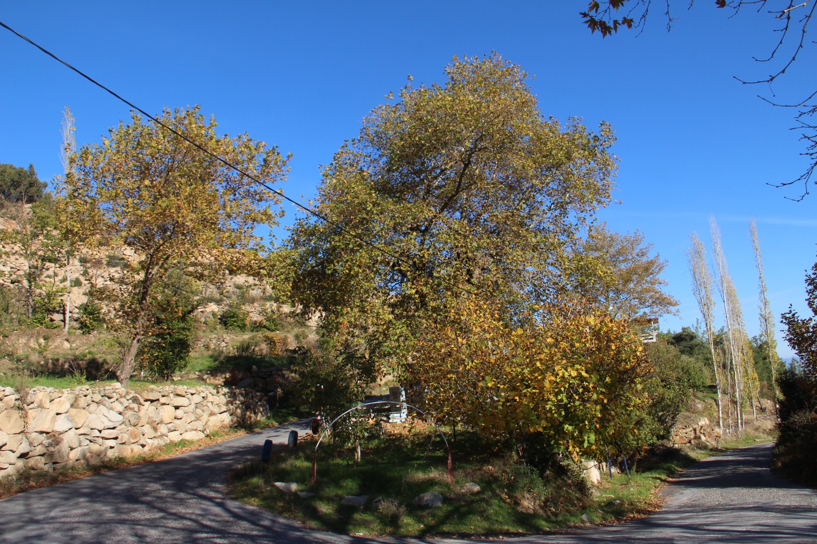 Whatsapp Image 2025 11 17 At 14.46.41 (1)