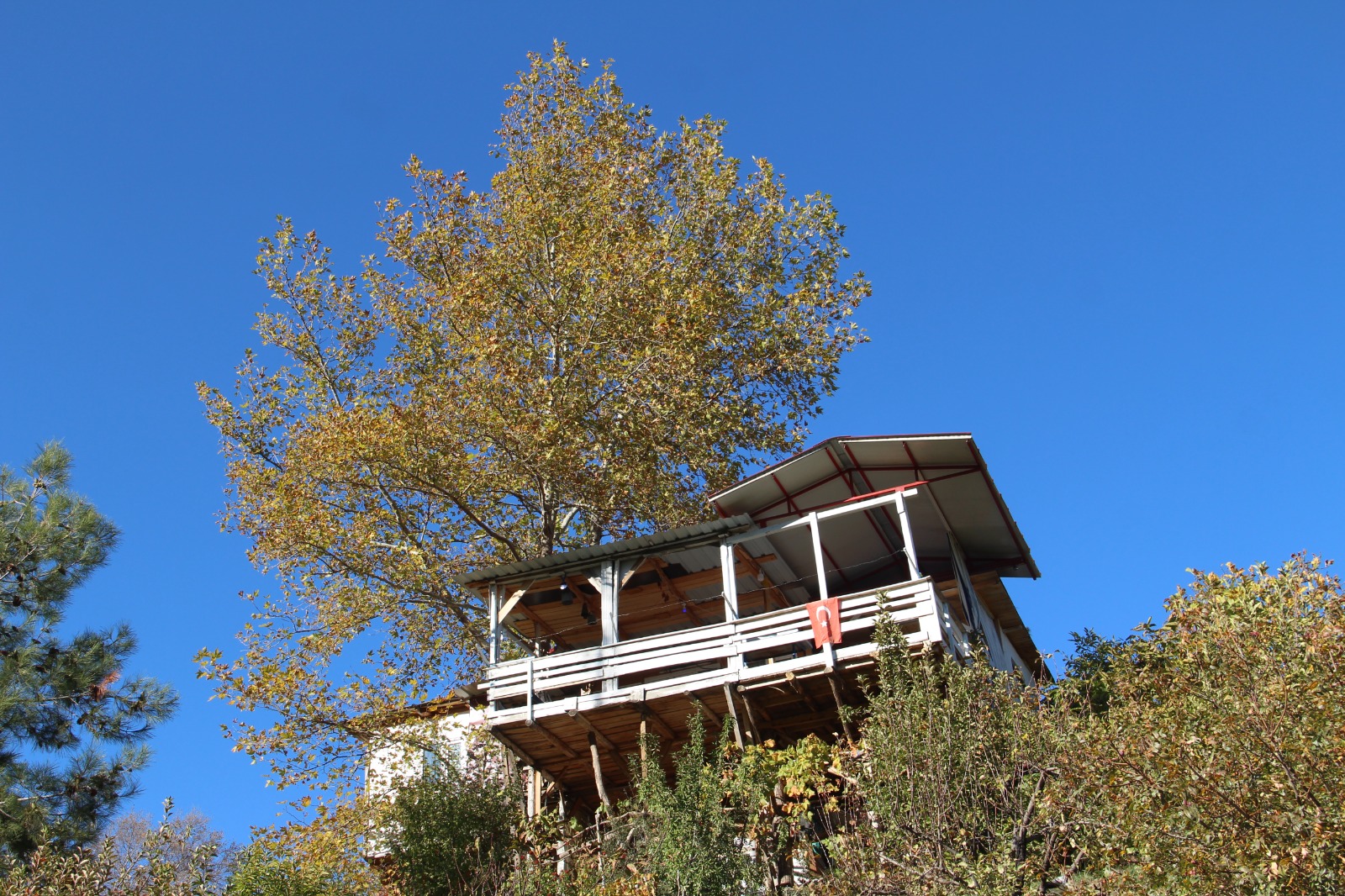 Whatsapp Image 2025 11 17 At 14.46.41