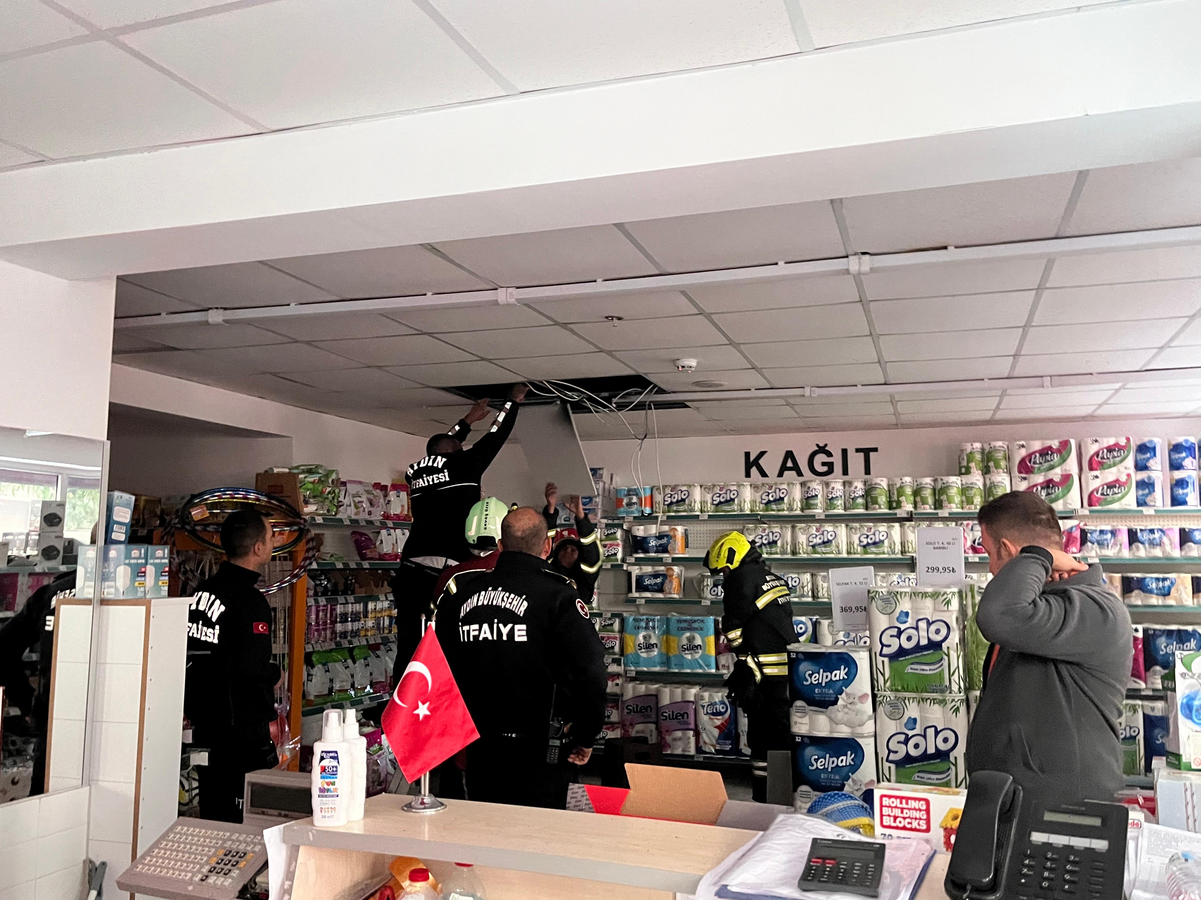 Whatsapp Image 2025 11 18 At 09.53.28 (1)