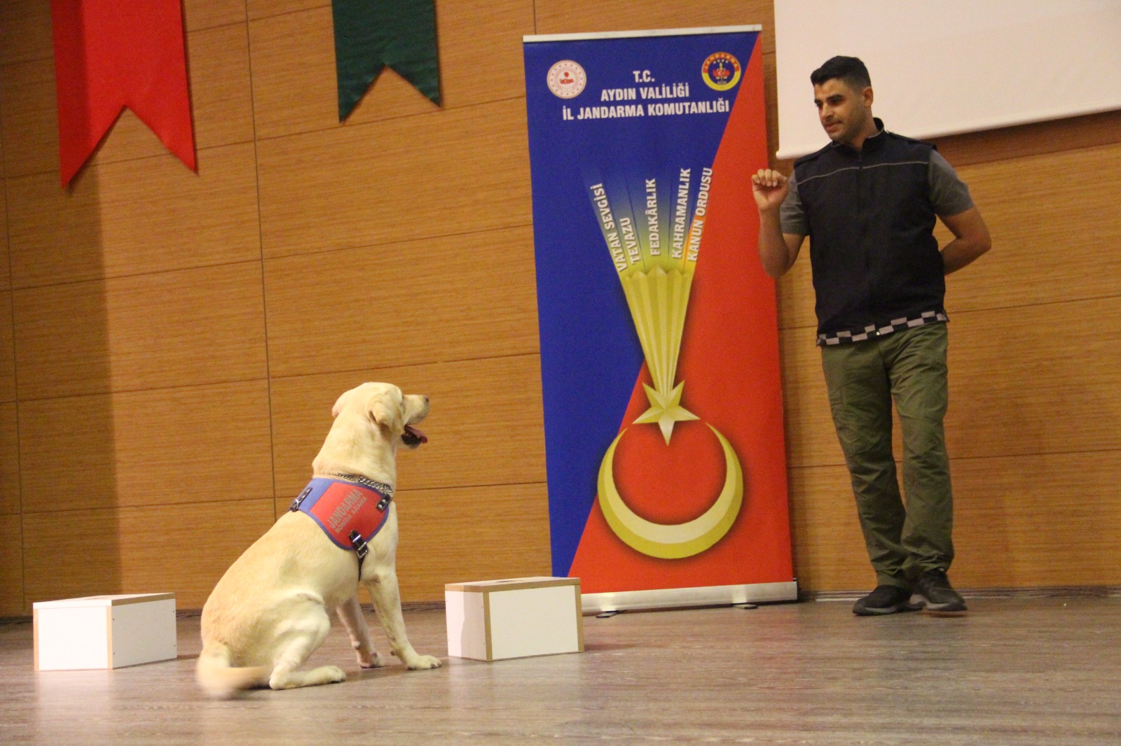 Whatsapp Image 2025 11 20 At 16.09.01