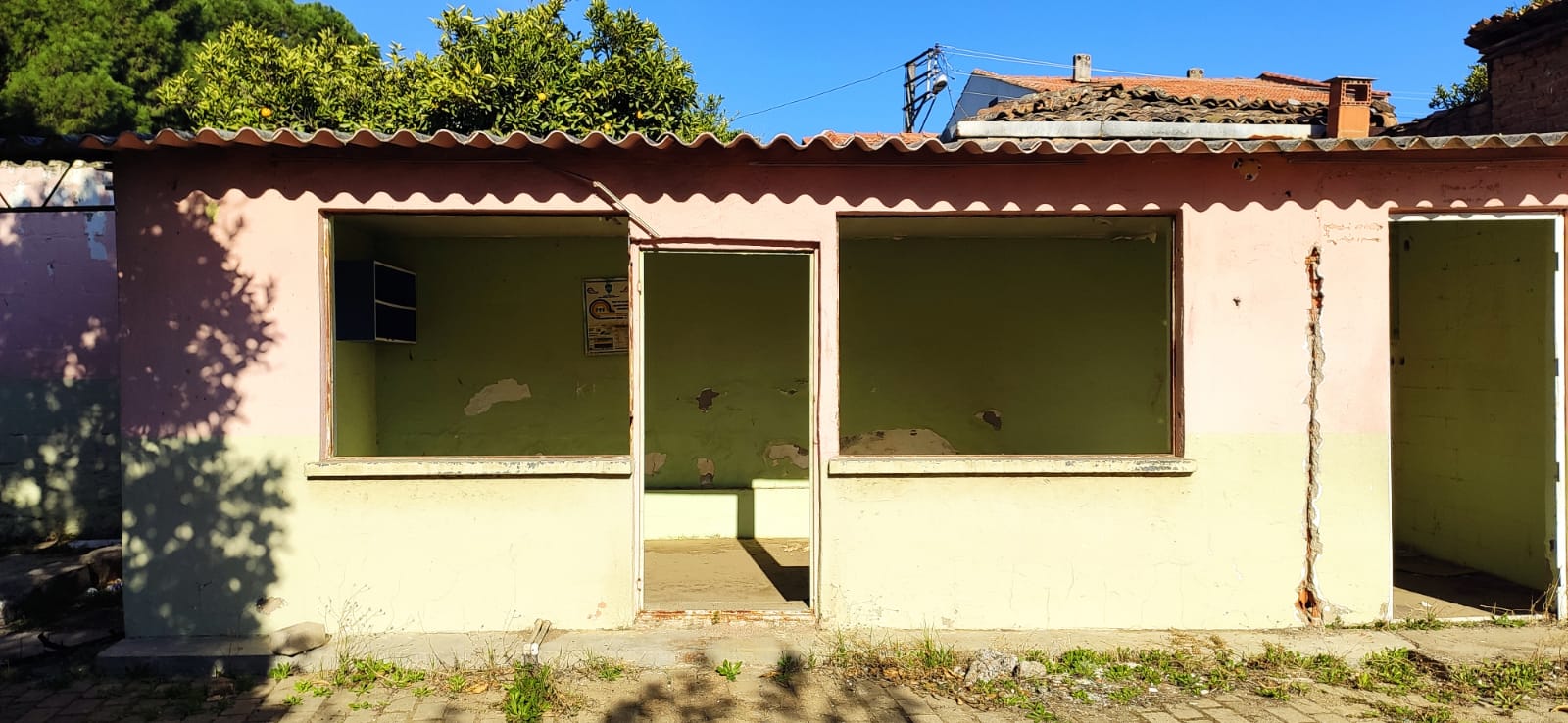 Whatsapp Image 2025 11 26 At 12.06.42 (1)