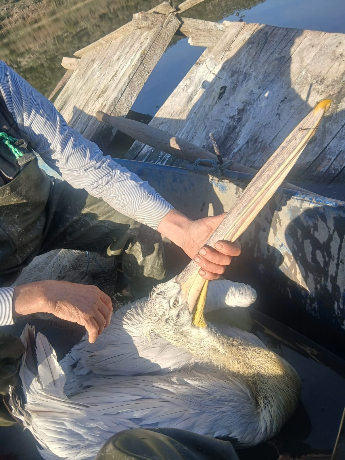 Whatsapp Image 2025 11 30 At 11.38.00