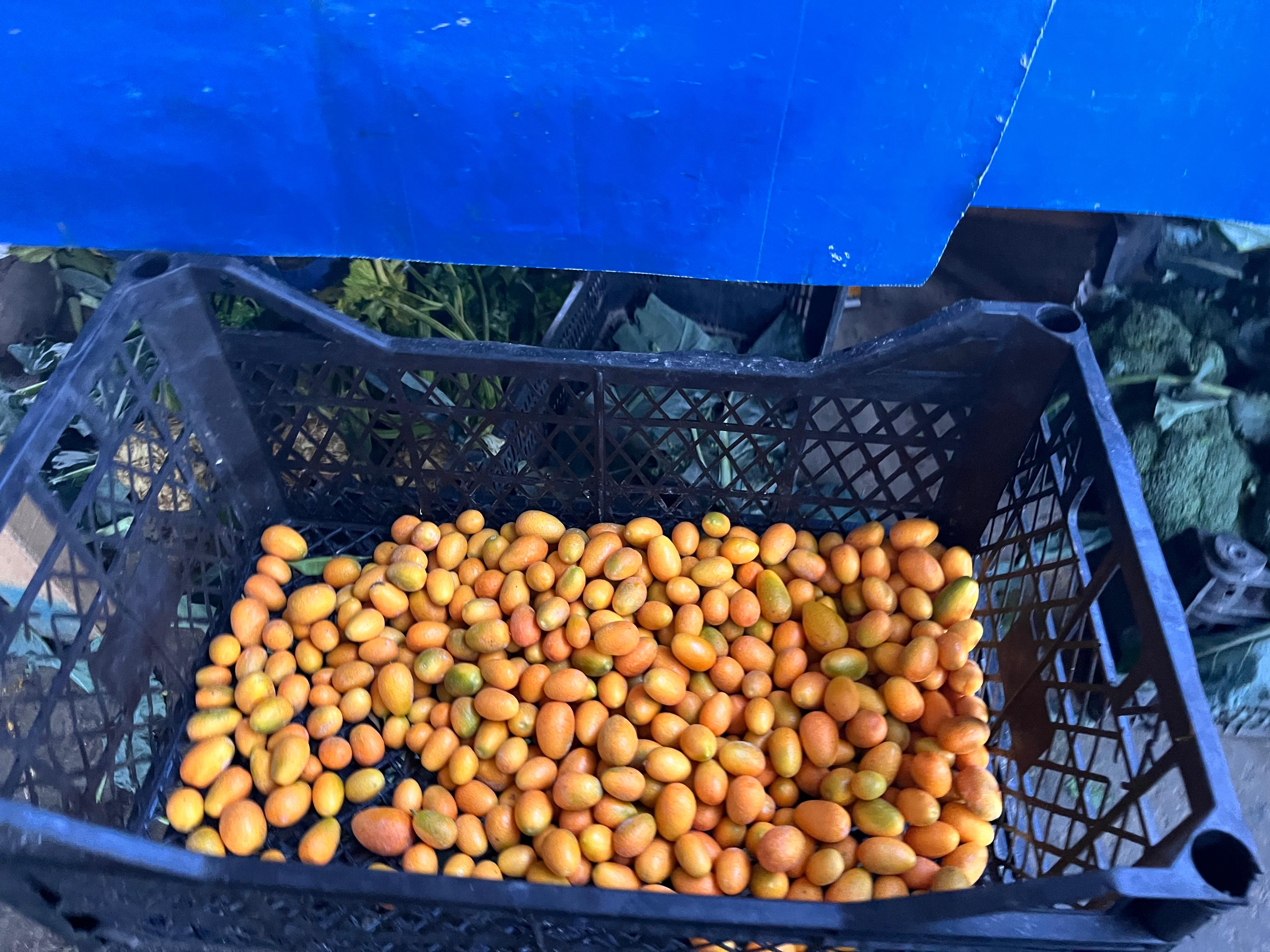 Whatsapp Image 2025 11 30 At 18.30.11