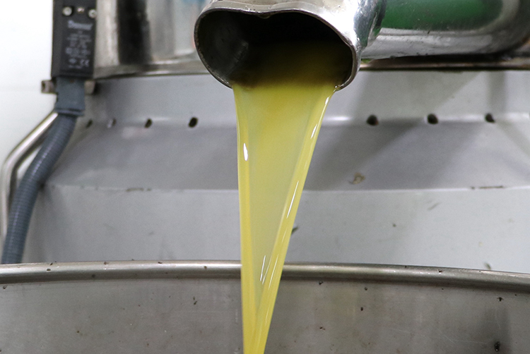 Zeytin ve zeytinyağı sektöründe yeni fırsat 2