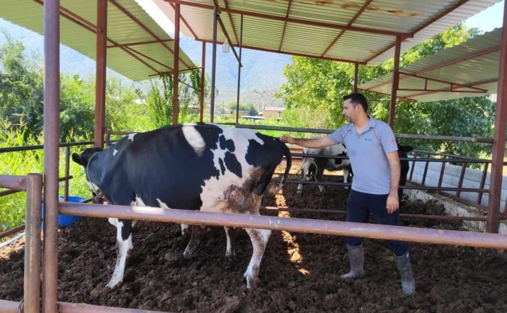 11 Mahalleye Karantina!1