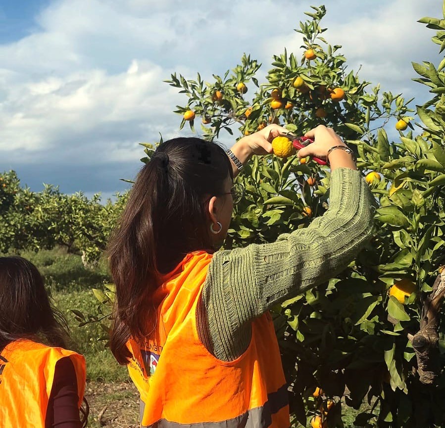 20251202163051 4 B7 B A04211659 F835930 000031823604497398875462