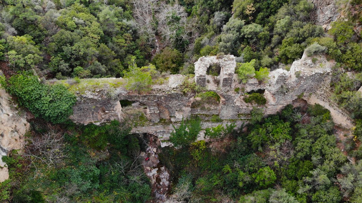 595604904 10162440565322075 3729009777106110216 N