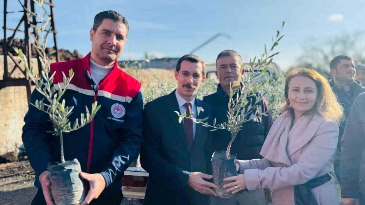 Bozdoğanlı Çiftçilere Fidan Desteği1