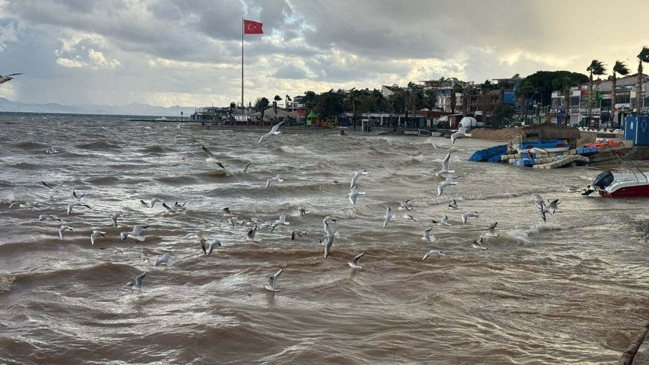 Didim’de Sağanak Sahili Yuttu Altınkum'un Rengi Değişti 1