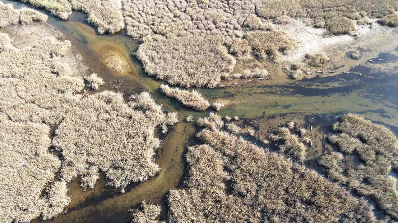 Doğa Kendi̇ni̇ Toparliyor 2