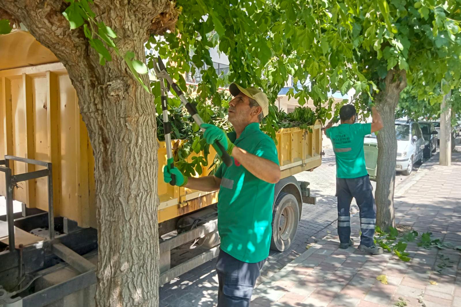 Efeler’de Temizlik Ve Yeşil Alan Atağı (4)