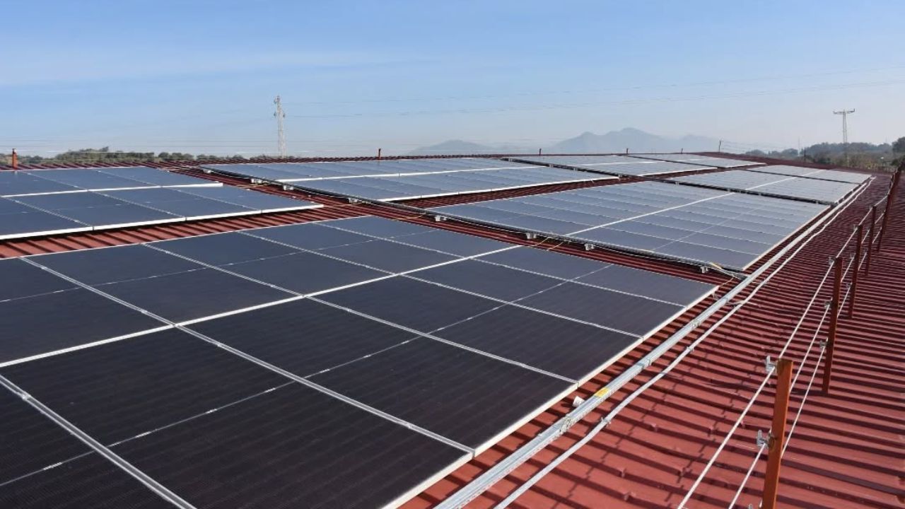 Germencik Belediyesi Güneş Enerjisi Santralini Devreye Aldı 1