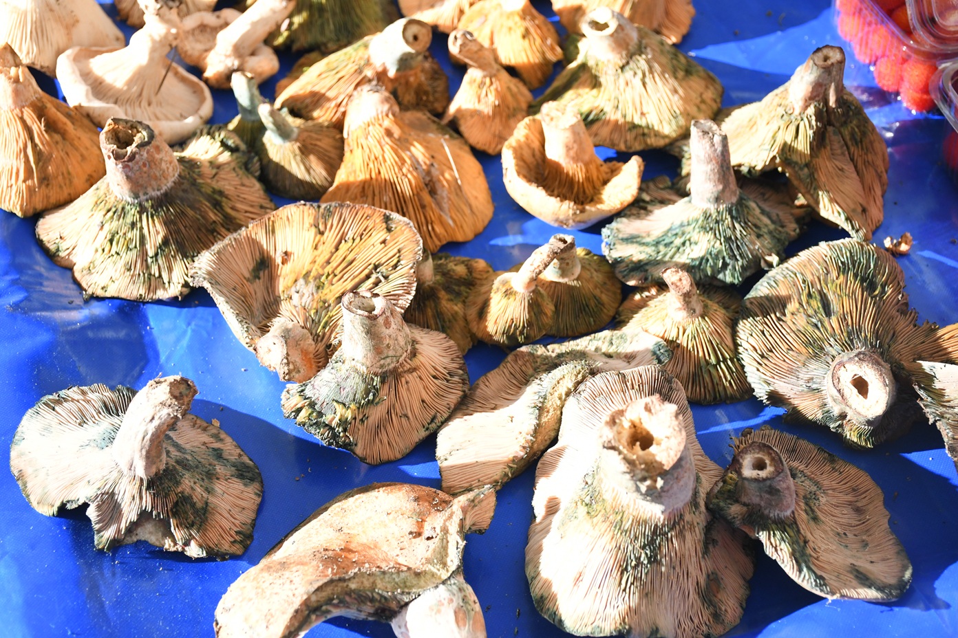 Kışa Özgü Sebze Ve Meyveler Raflarda Yerini Aldı (2)