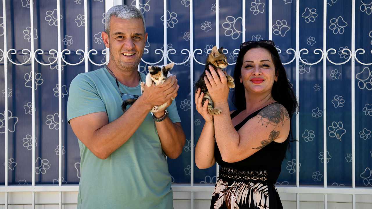 Mikroçip Kimliklendirmesinde Son Tarih Yaklaşıyor2