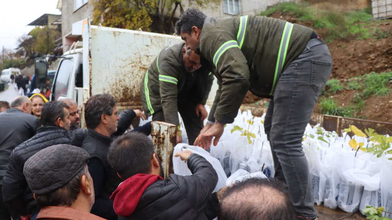 Nazilli Belediyesi’nden Binlerce Fidan Desteği