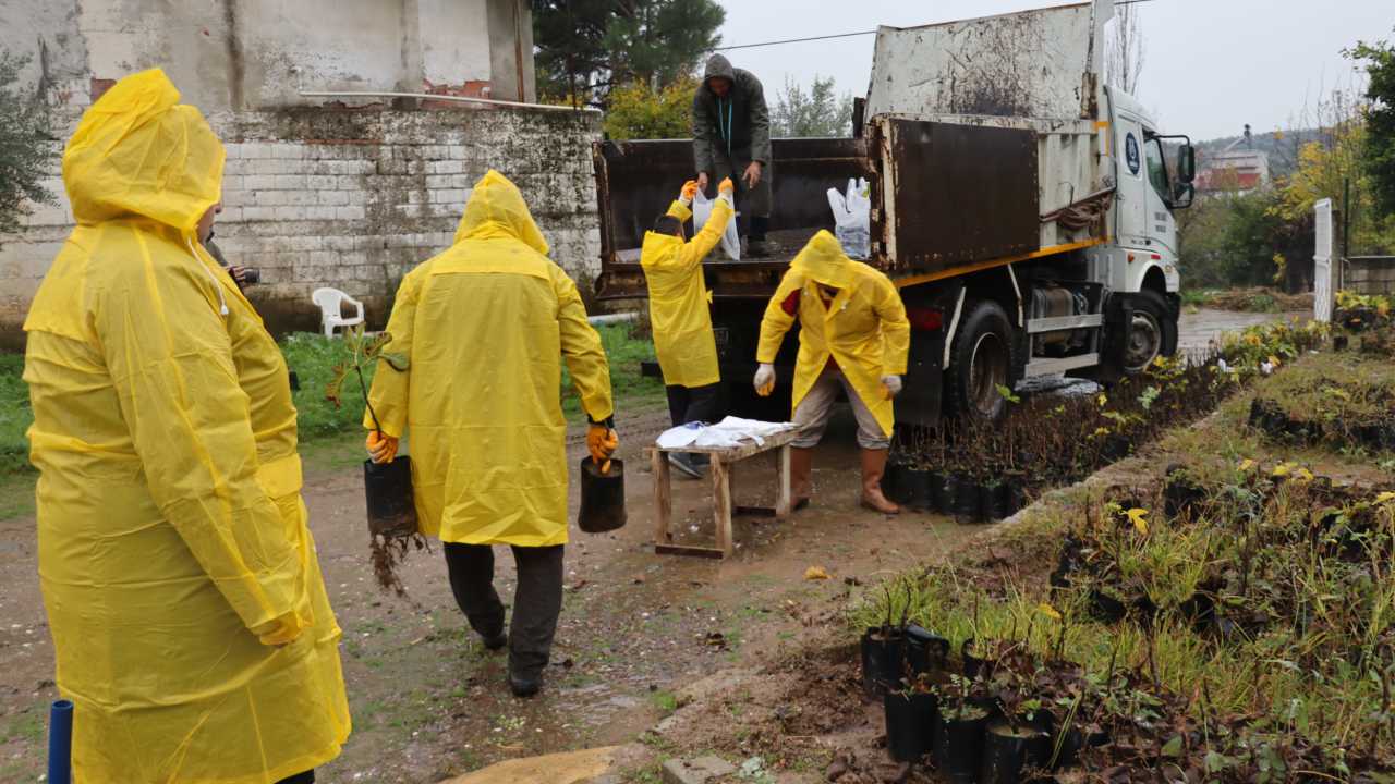 Nazilli Belediyesi’nden Binlerce Fidan Desteği1